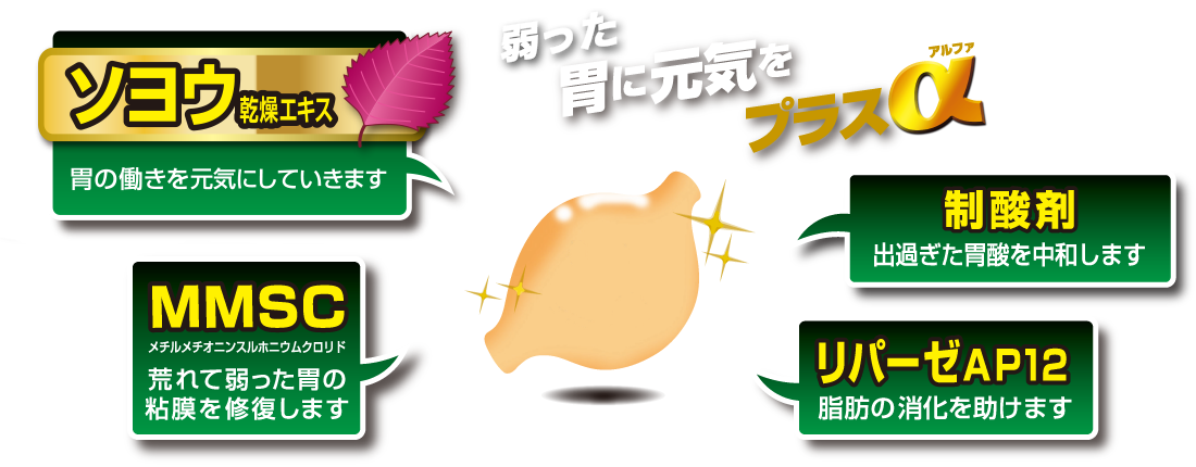 胃に元気をプラスアルファ