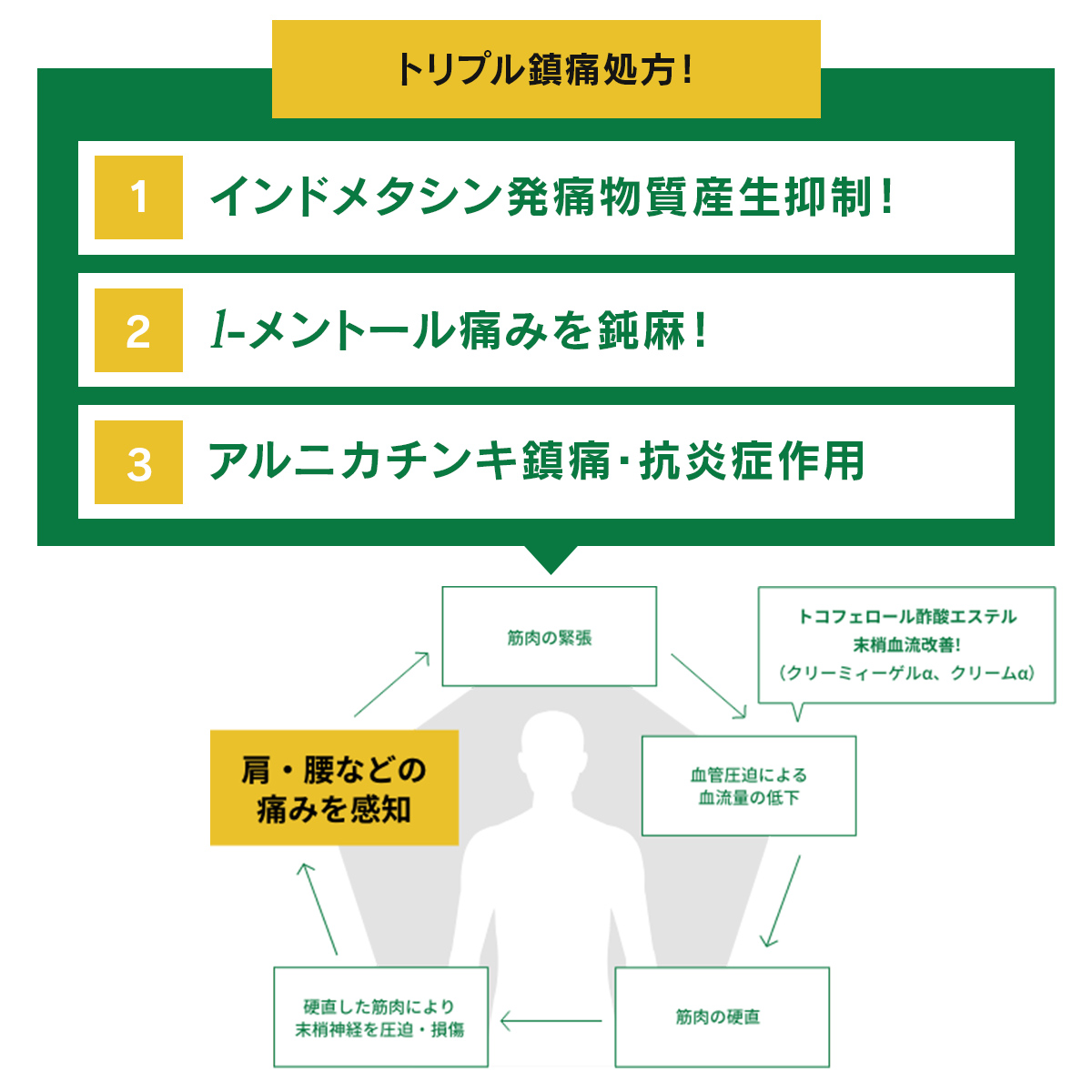 バンテリンコーワパットEXホット　21枚 【第2類医薬品】 21枚